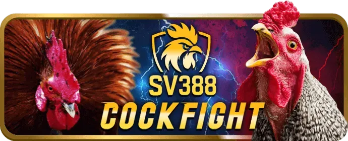 Mục đích sử dụng Cookie của 88clup