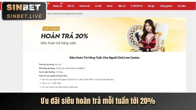 Quản lý cài đặt Cookie của bạn